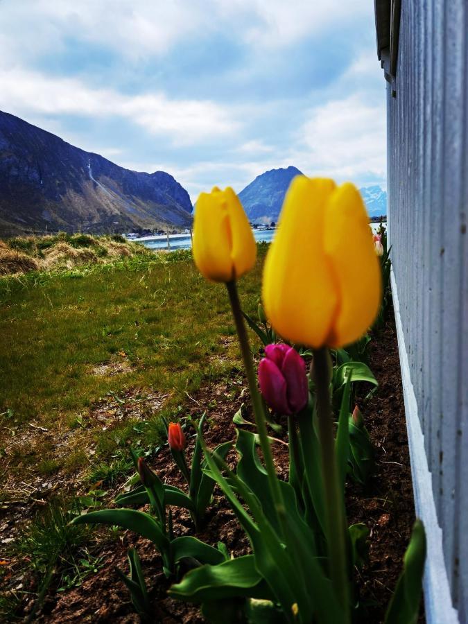 Banpim Beachside Lofoten Ramberg Exterior foto