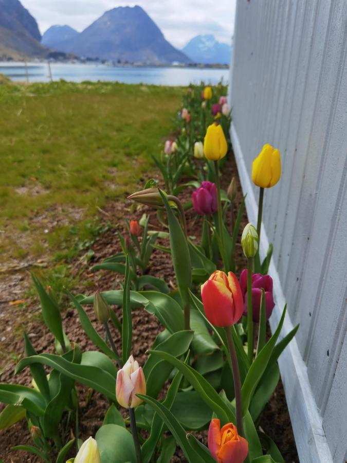Banpim Beachside Lofoten Ramberg Exterior foto
