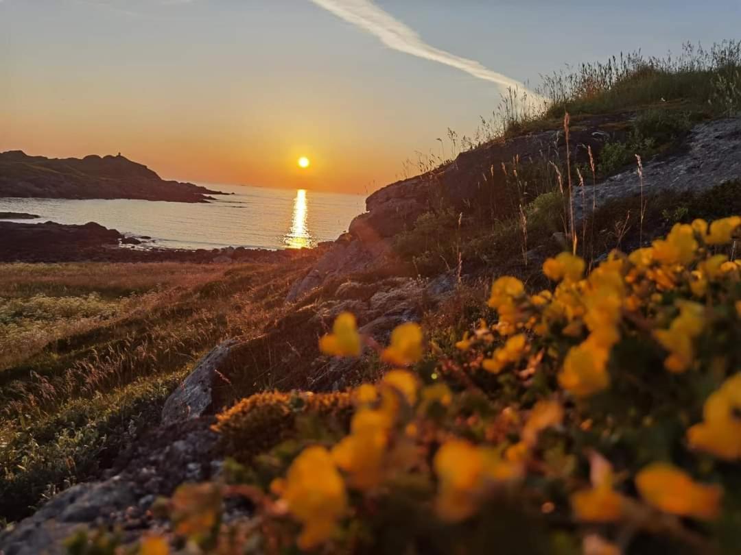 Banpim Beachside Lofoten Ramberg Exterior foto